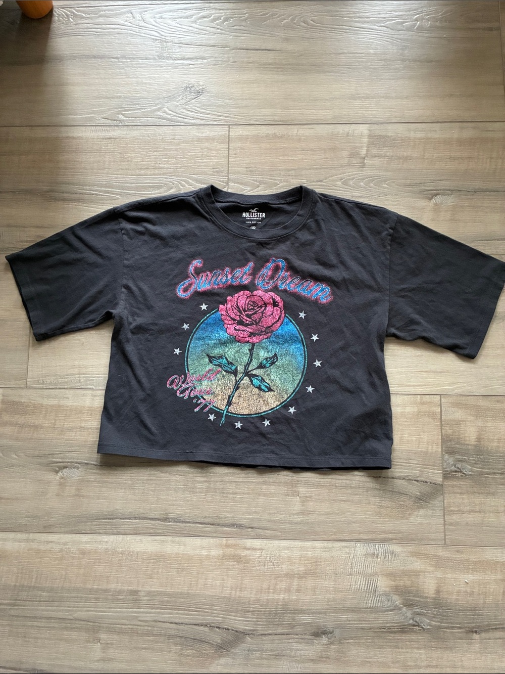 Hollister Sunset Dream World Tour 77 Crop Top Tee Size XS Very Soft